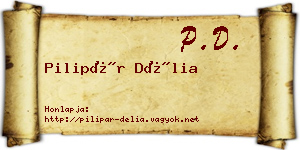 Pilipár Délia névjegykártya